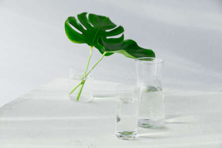Morning glass and jar of clean water with two big green leaves on white table. Breakfast with sunlight long shadow and reflection. Concept of a healthy lifestyleの写真素材