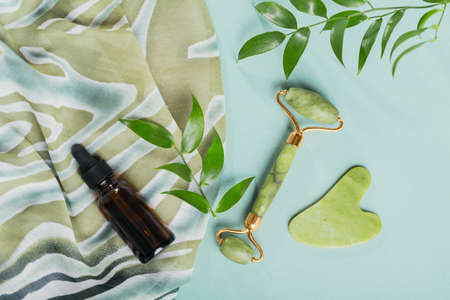 Green jade face roller and gua sha scraper with leaves on light blue background. Massage tool for...