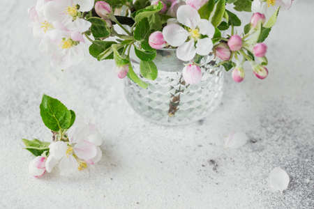 Branches with white apple flowers in a transparent glass on a gray background. Still life, Easter greeting cardの写真素材