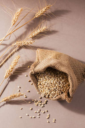 Burlap bag of dry raw broken pearl barley cereal grain on light beige background. Cooking pearl barley porridge concept.の写真素材