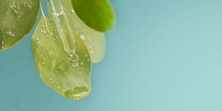 Essential oil extract of medicinal herbs