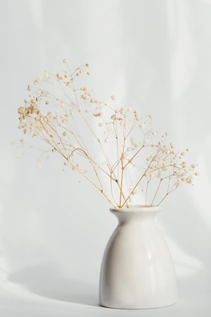 Bouquet of Dry Gypsophila Flowers in a White Vaseの写真素材