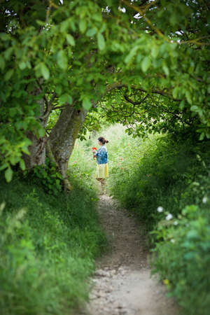 Woman in yellow dress gathering poppy and wildflowers, walking in summer meadowの写真素材