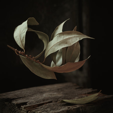 Autumnal composition with bay leaves branchの写真素材