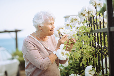 Elderly woman admiring beautiful bushes with colorful roses.の写真素材