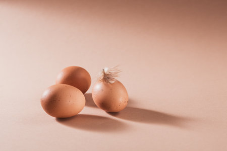 Chicken brown eggs on beige background.