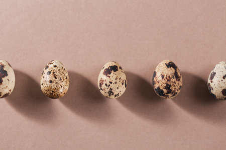 A line with shadows from quail eggs on beige minimal background.