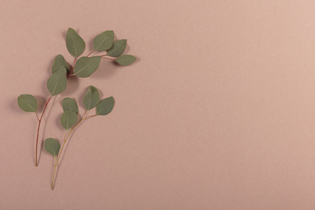 Blank greeting or invitation card mockup with beautiful fresh eucalyptus branches with free space...