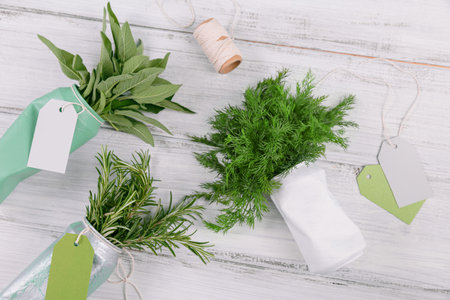 Reused tin cans containing herbs, save money growing your own food at home, zero waste household, recycle, ecology gardening, sustainable living concept. top view, flat layの写真素材