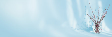 Composition in style of minimalism. Fresh willow branches in glass of water on light blue background with sunshine and beautiful shadows. Spring panoramic wide banner with copy spaceの写真素材