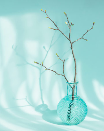 Tree branch with buds in vase on light blue backgroundの写真素材