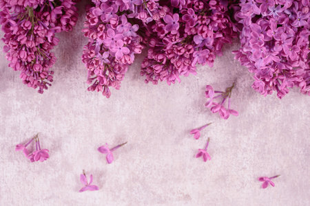 Beautiful spring lilac flowers background