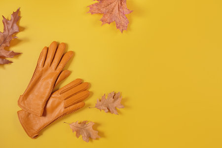 Flat lay with collection of autumn womens accessoriesの写真素材