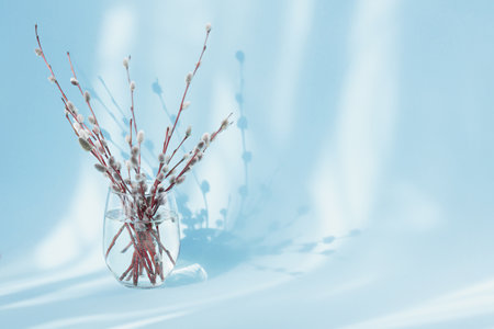 Fresh willow branches in vase on light blue background