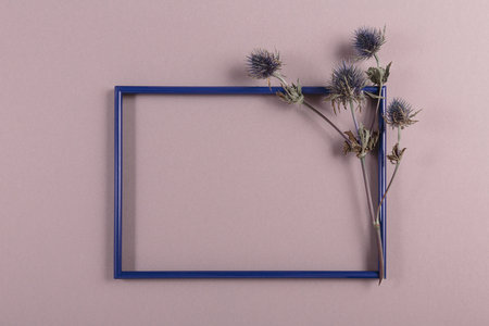 Mock up with dried eryngium flower and empty frame over pastel lilac backgroundの写真素材
