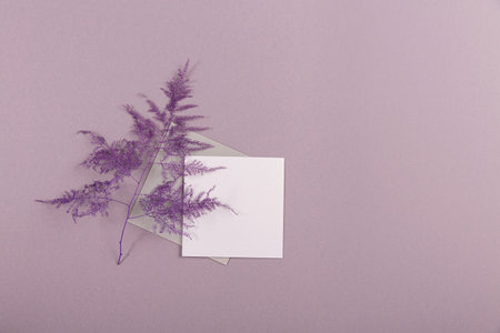 Blank greeting card mockup with envelope, white empty paperの写真素材