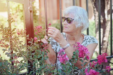 Portrait of elderly female gardener caring for pink flowers outdoorの写真素材