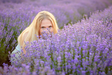 Woman walking between rows of lavender flowers and posingの写真素材