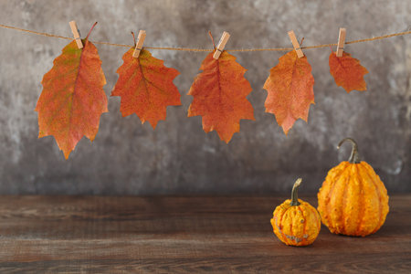 Fall Seasonal Background. Thanksgiving mockup