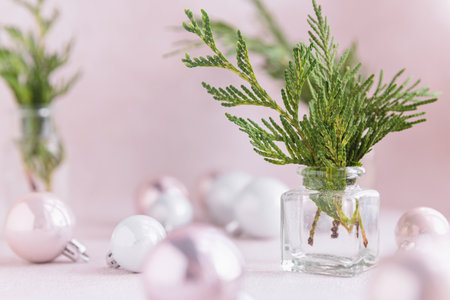 Minimalist Christmas decor with Cypress branchesの写真素材