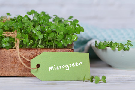 Microgreens for Health and Beautyの写真素材