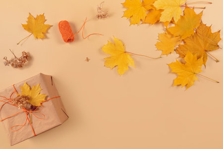 Autumn creative holiday presentの写真素材