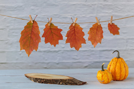 Fall Seasonal Background. Thanksgiving mockupの写真素材