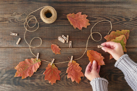 Homemade garland of colored autumn leaves with womans handsの写真素材