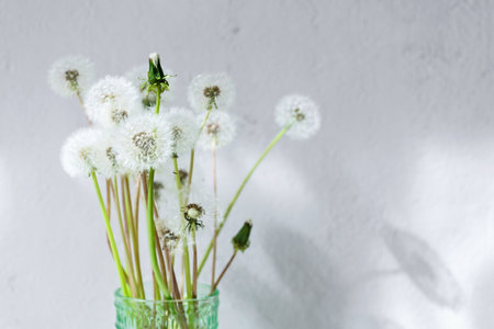 Dandelion Bouquet in Glass Vaseの写真素材