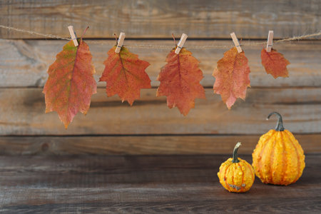 Fall Seasonal Background. Thanksgiving mockupの写真素材