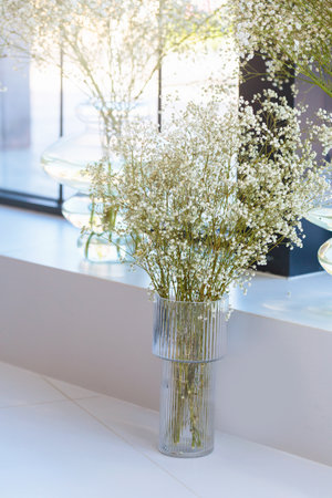 Babys Breath Bouquet in Glass Vase by Windowの写真素材