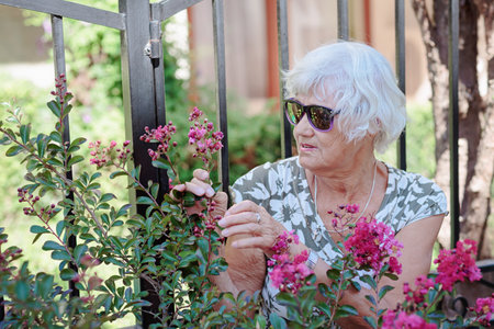 Happy senior woman smelling and touching perple flowers at summer gardenの写真素材