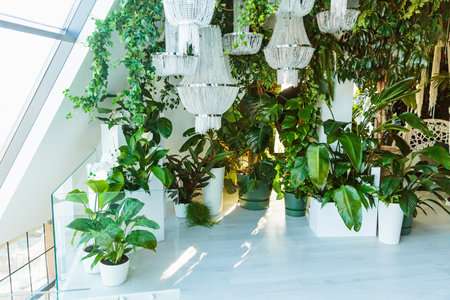 Luxurious eco-interior with crystal chandeliers and greeneryの写真素材