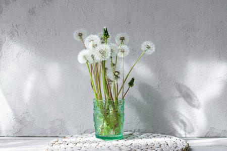 Dandelions in green Vase with Sun Raysの写真素材