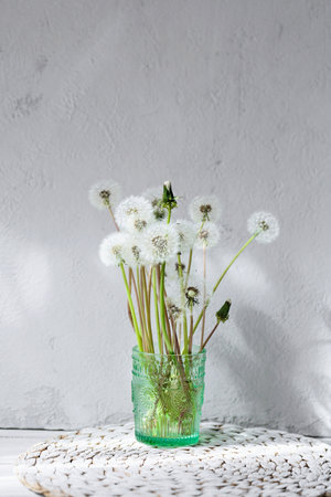 Sunlit Dandelions in Vaseの写真素材