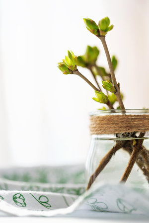 Close-up of fresh green buds in glass jar of water with twine decoration