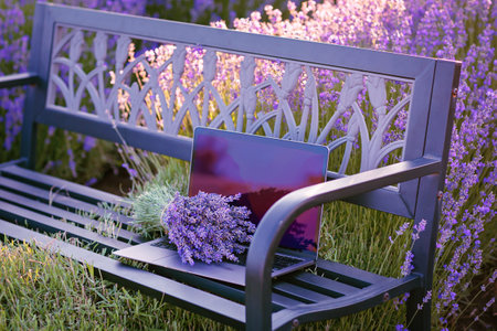 Composition with laptop and bouquet flowers on bench among lavender fieldの写真素材