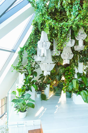 Modern eco-home with chandeliers and lush indoor greeneryの写真素材