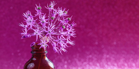 Dew-Covered Allium on Pinkの写真素材