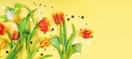 Close-up of Tulips with Decorative Elementsの写真素材