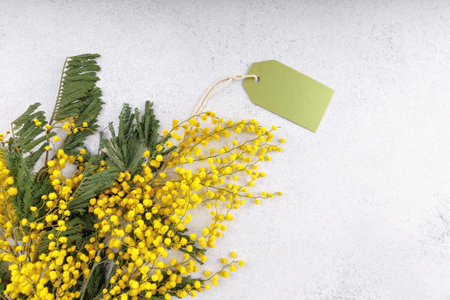Close-up of mimosa flowers with a gift tag for personalizationの写真素材