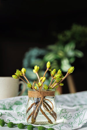 Green buds on branches in glass jar with twine, cozy spring decorの写真素材