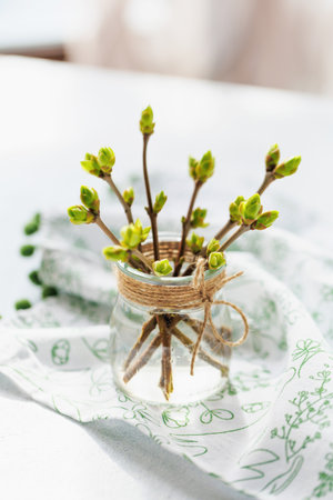 Springtime glass jar with green branches and water on textile backgroundの写真素材