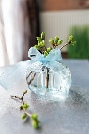 Spring buds in clear glass vase with ribbon and branch..の写真素材