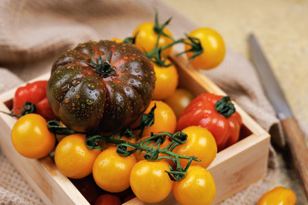 Yellow tomatoes and heirloom with water dropsの写真素材