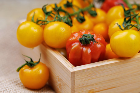 Fresh food ingredients for vegan mealの写真素材
