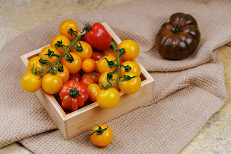 Rustic harvest of tomatoes on neutral backgroundの写真素材