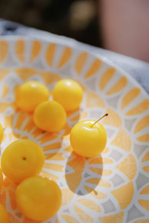 Yellow plums with stem on patterned plate in summer sunlightの写真素材