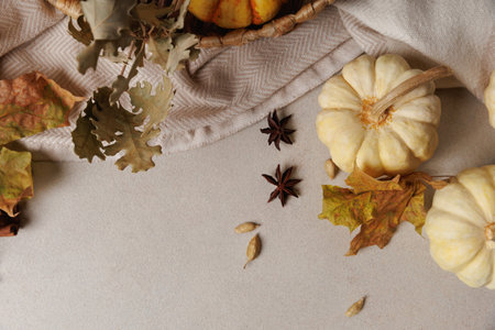 Autumn flatlay with pumpkins, oak leaves and cardamom..の写真素材