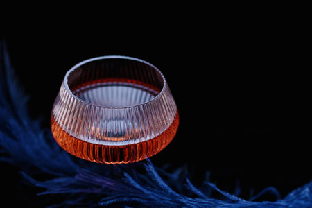 Glamorous romantic wine glass and featherの写真素材